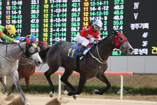 (사진3)24년 11월 24일 브리더스컵 퀸(L) 우승마 '플라잉스타(11번)'