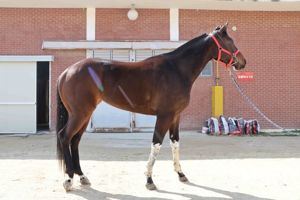 (사진1)판타스틱밸류