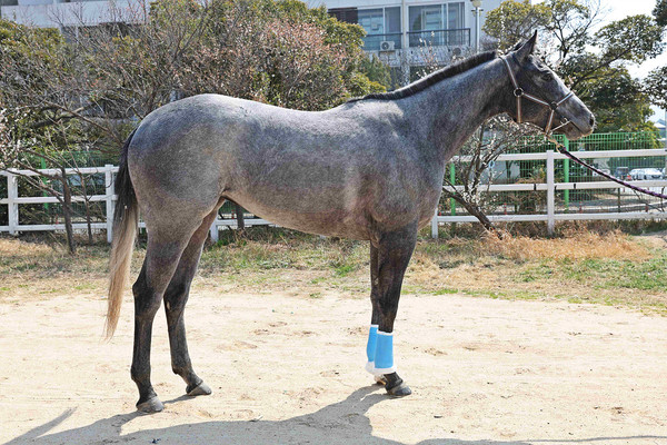 (사진2)희망라니