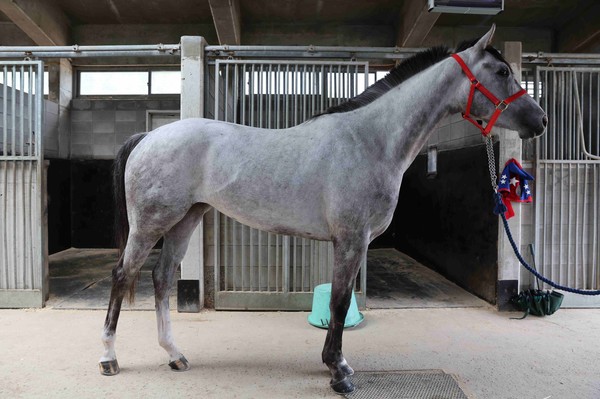 (기획1)(사진4)플라잉데이