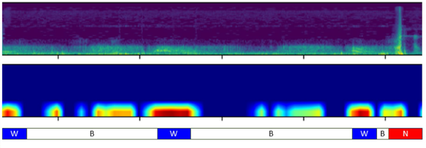 AST 모델이 천명음(W)에는 강하게 반응하지만, 정상호흡(B)과 소음(N)에는 미미하게 반응하고 있다.