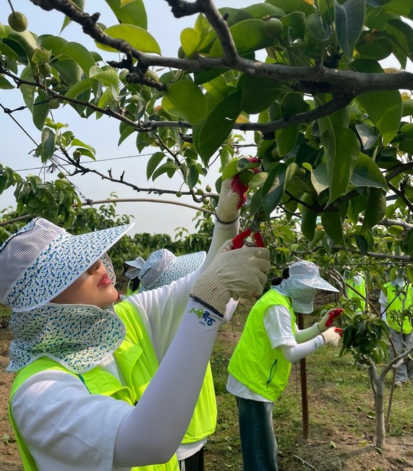 농협, 대학생 농사동아리와‘아침밥 먹고 농촌일손돕기’나서2