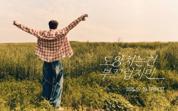 사진 = 앤드벗 컴퍼니