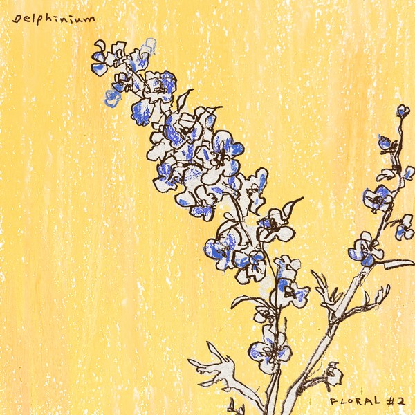 이준형DS_Delphinium_보도용