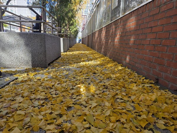 장재필 (빈 배 詩人, 사진 수집가)
