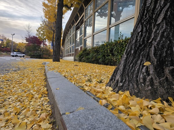 장재필 (빈 배 詩人, 사진 수집가)