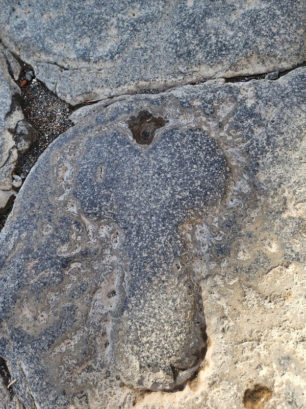 유흥가를 가르키는 표시.