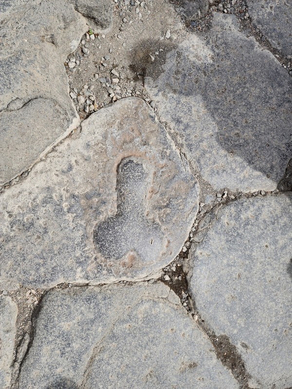 유흥가를 가르키는 표시.